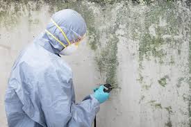 Best Comprehensive Air Testing for Mold Contaminants  in Dunkirk, NY